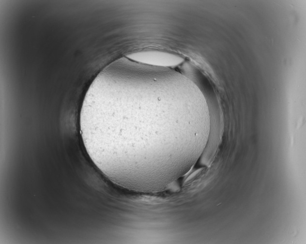 X0000088130393200706111411