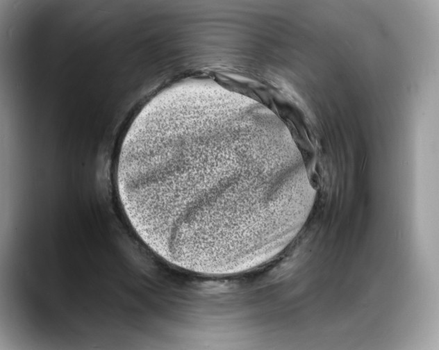 X0000088130394200706111411