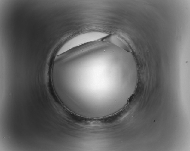 X0000088130395200706111411