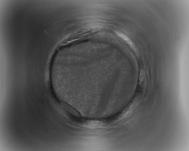 X0000088130399200706111411