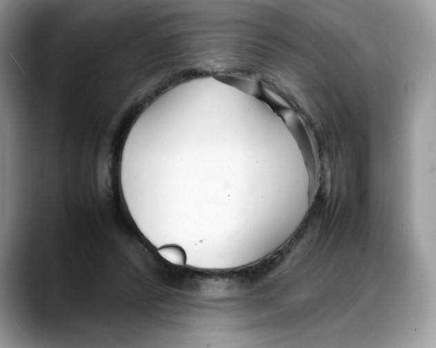 X0000088130400200706111411