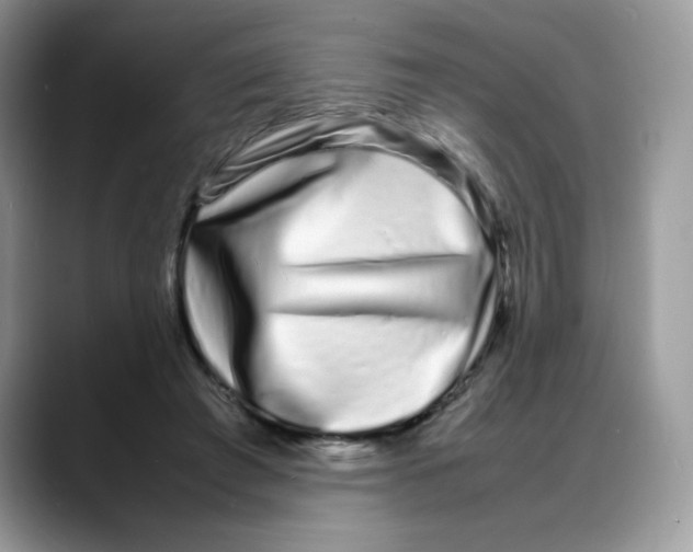 X0000088130401200706111411