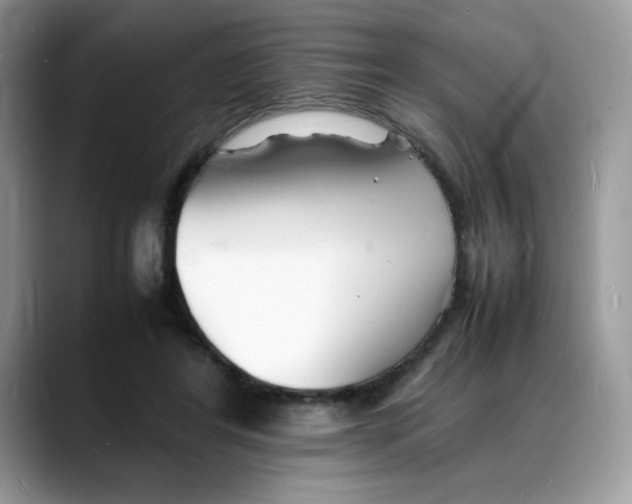 X0000088130404200706111411