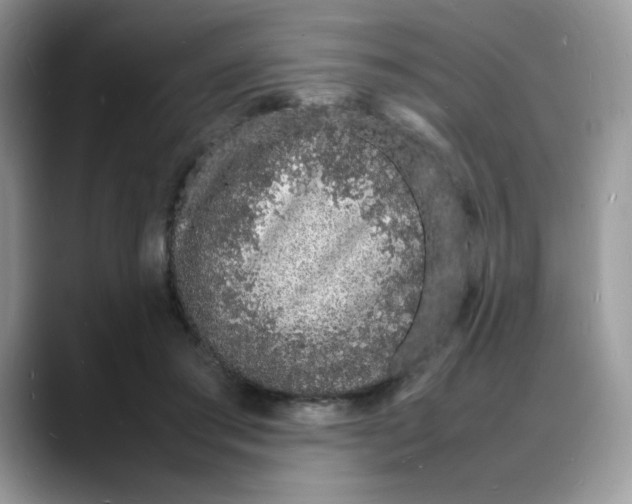 X0000088130405200706111411