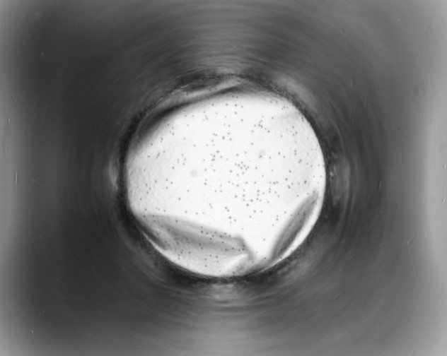 X0000088130406200706111411