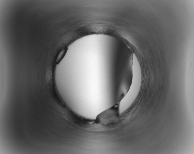 X0000088130407200706111411