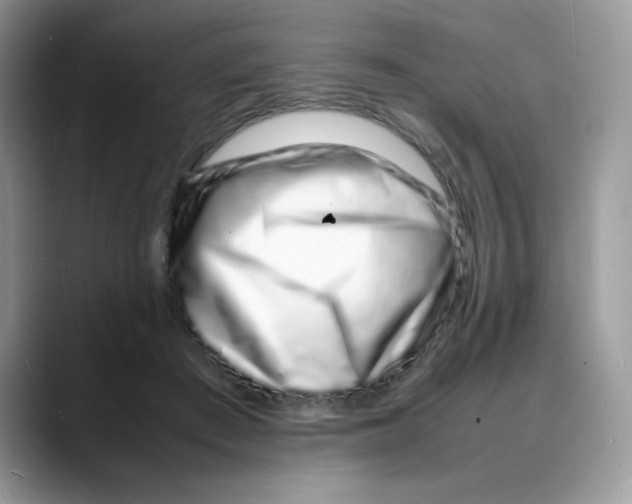 X0000088130409200706111411