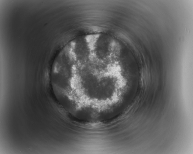 X0000088130410200706111411