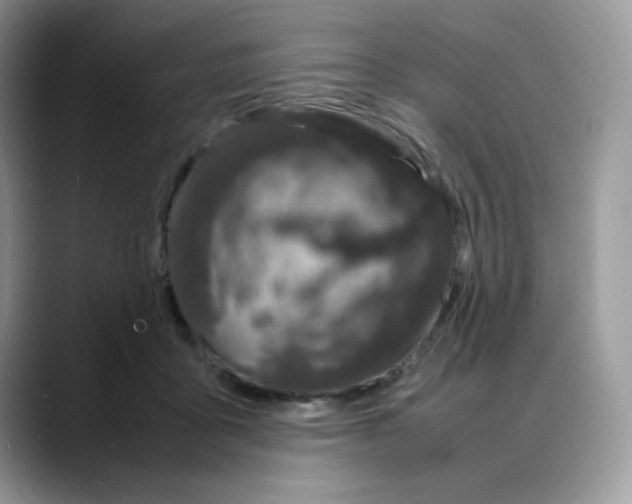 X0000088130411200706111411