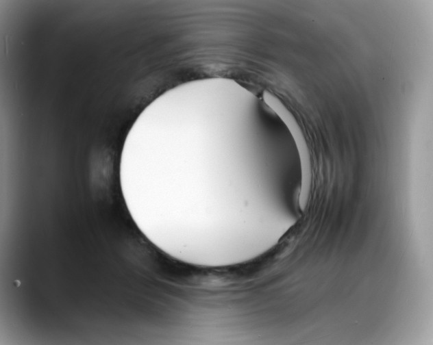 X0000088130412200706111411