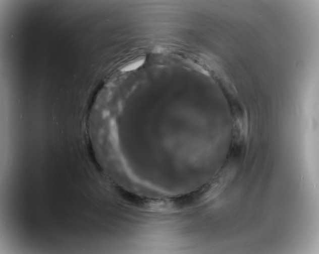 X0000088130415200706111411