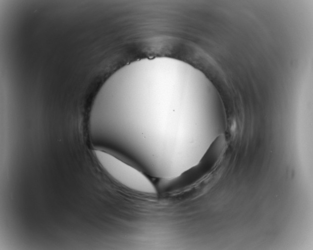 X0000088130416200706111411