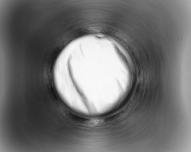 X0000088130418200706111411