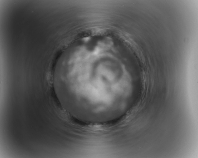 X0000088130419200706111411