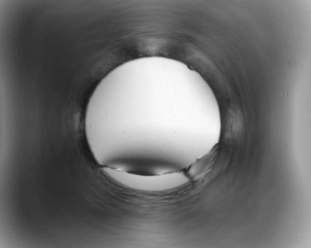 X0000088130420200706111411