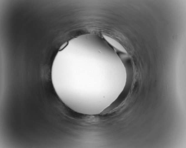 X0000088130421200706111411