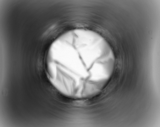 X0000088130422200706111411