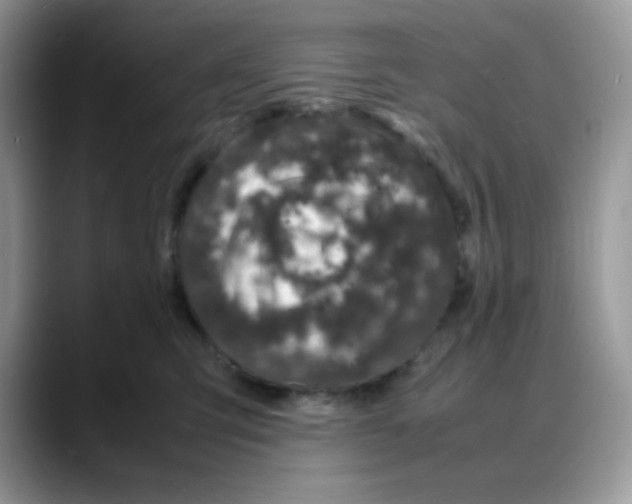 X0000088130423200706111411