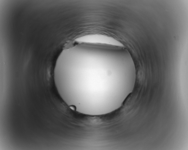 X0000088130424200706111411