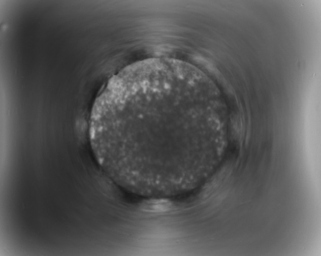 X0000088130427200706111411