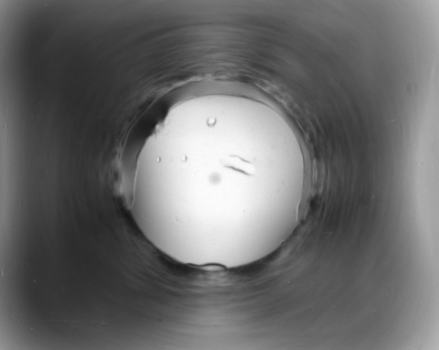 X0000088130428200706111411