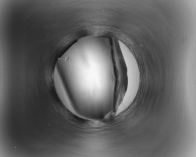 X0000088130429200706111410