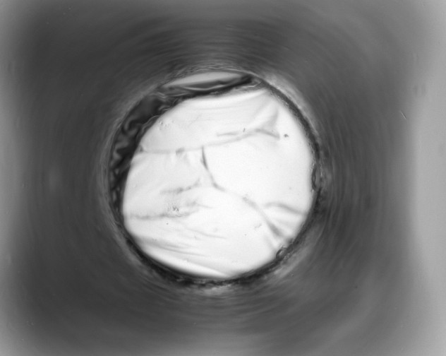 X0000088130433200706111410