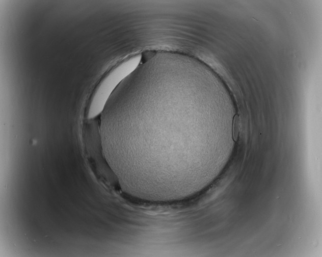 X0000088130434200706111410