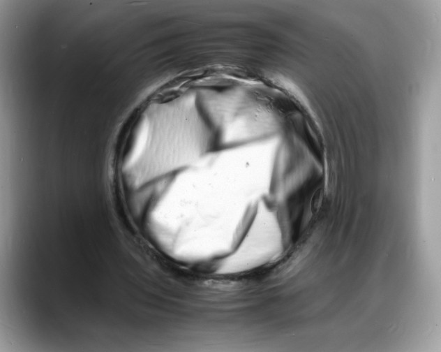 X0000088130435200706111410