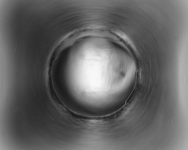 X0000088130436200706111410