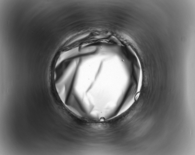 X0000088130439200706111410