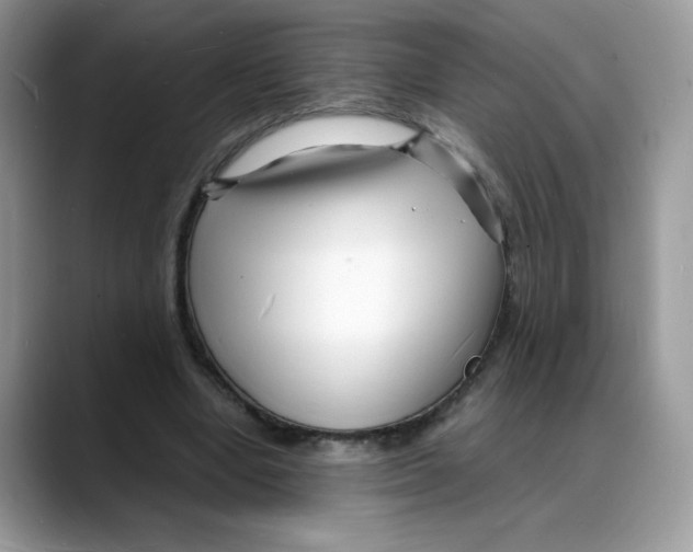 X0000088130442200706111410