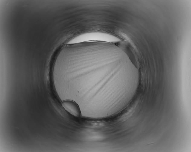 X0000088130443200706111410