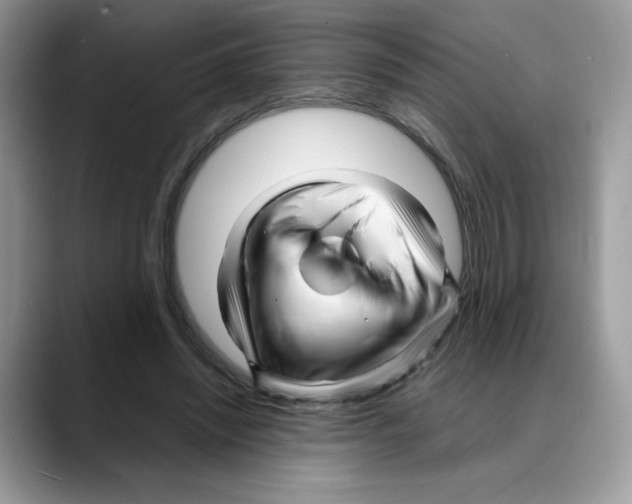 X0000088130444200706111410