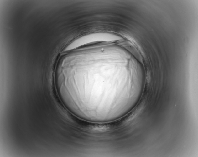 X0000088130445200706111410