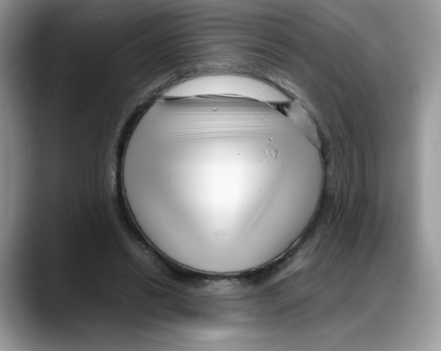 X0000088130446200706111410