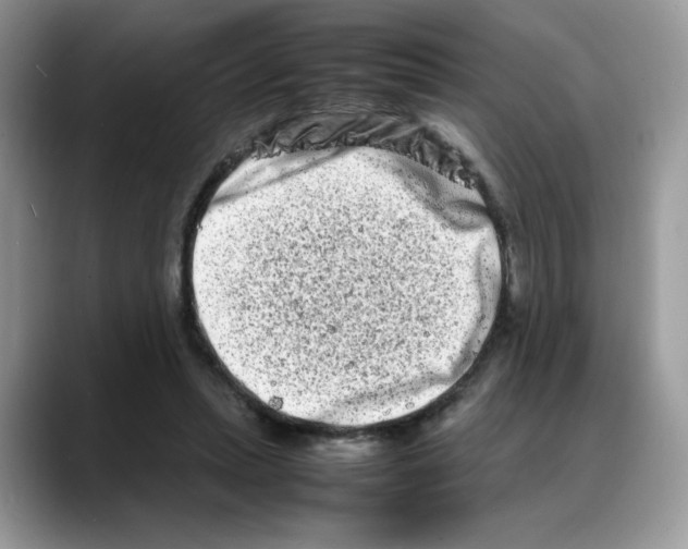 X0000088130447200706111410