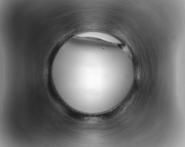 X0000088130448200706111410