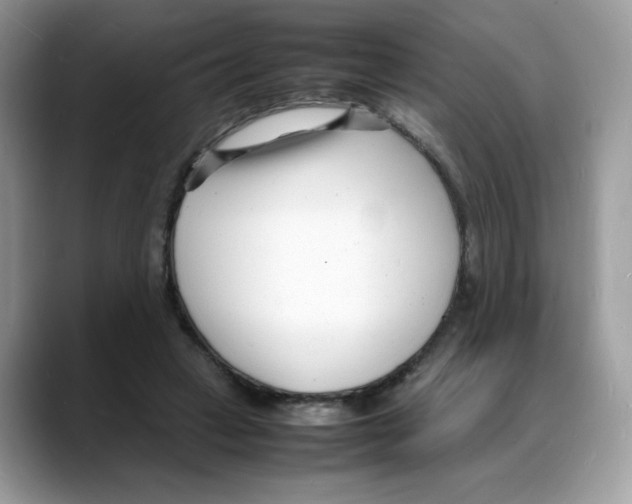 X0000088130449200706111410