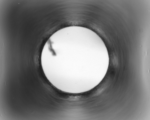 X0000088130450200706111410