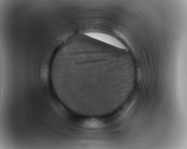 X0000088130451200706111410