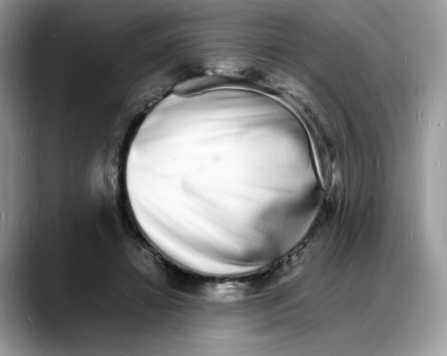 X0000088130452200706111410