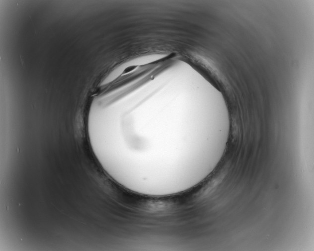 X0000088130453200706111410