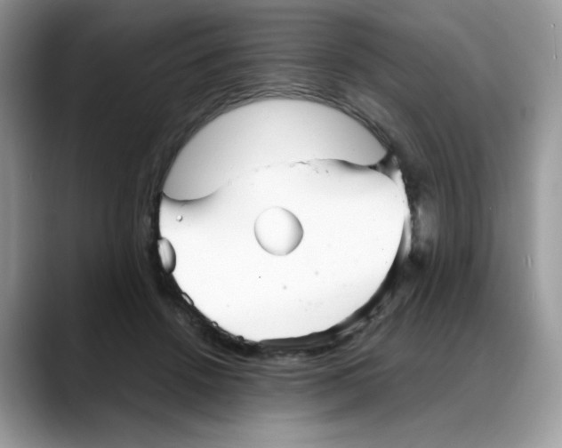 X0000088130456200706111410