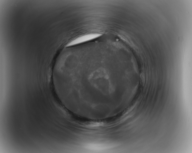 X0000088130458200706111410