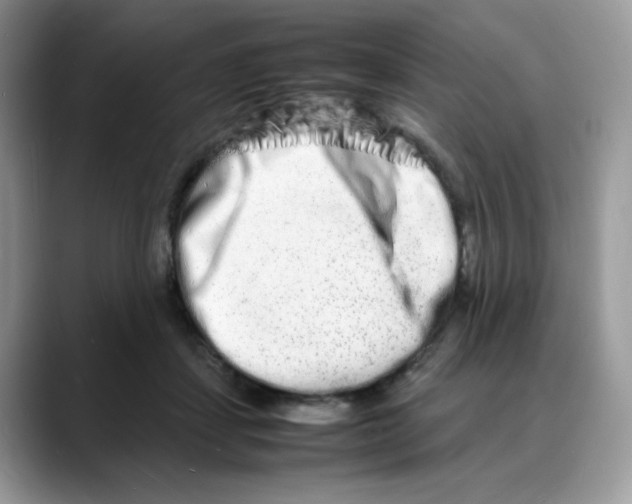 X0000088130459200706111410