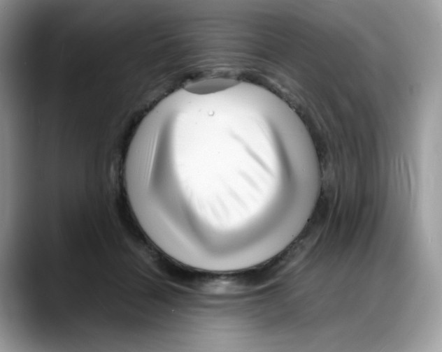 X0000088130460200706111410