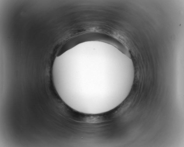 X0000088130461200706111410