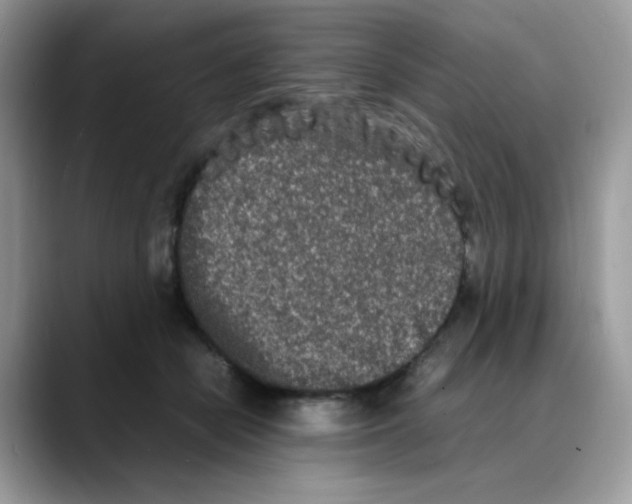 X0000088130462200706111410