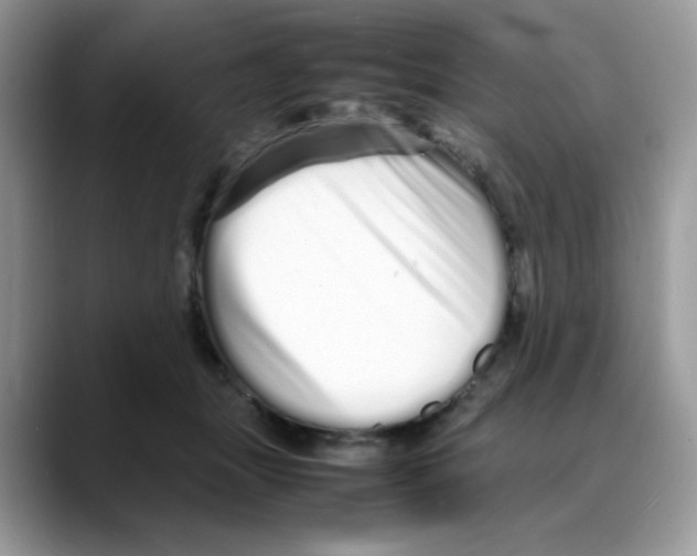 X0000088130463200706111410